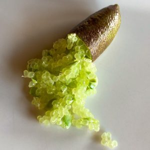 Limão Caviar